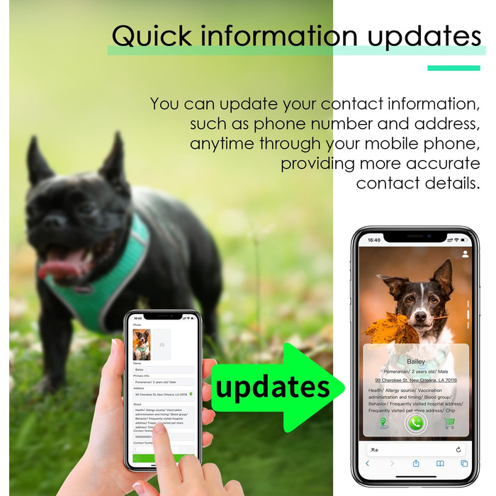 Відбиваюча нашийник для собак ThinkPet з Air-Mesh, QR-кодом, для цуценят та собак середніх розмірів, блакитно-зелений, 