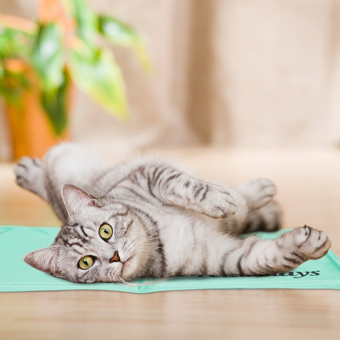 Relaxdays Turquoise Cooling Mat for Dogs