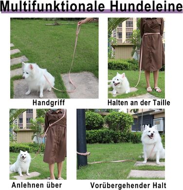 Персоналізоване собаче нашийник з металевою застібкою: напис та номер телефону, регульовані розміри для великих та середніх собак (Collar 07)