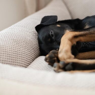 М'яке ліжко для собак 4L Textil Teo, корзина для собак середнього розміру, ліжко-подушка, 60x40 см, бежеве