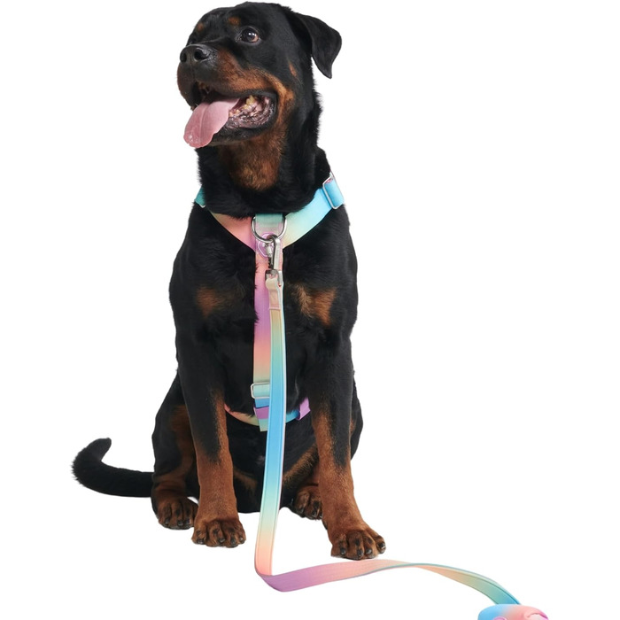 Шлейка для собак Spark Paws No Pull для великих порід, регульована, з фронтальною застібкою, Y-подібна, міцна, розмір L (36-68 кг), колір Пастельний Лавандовий