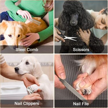 Безшумна машинка для стрижки собак та котів з 2 швидкостями, акумуляторна, бездротова, з 11 насадками (чорний/золотий)