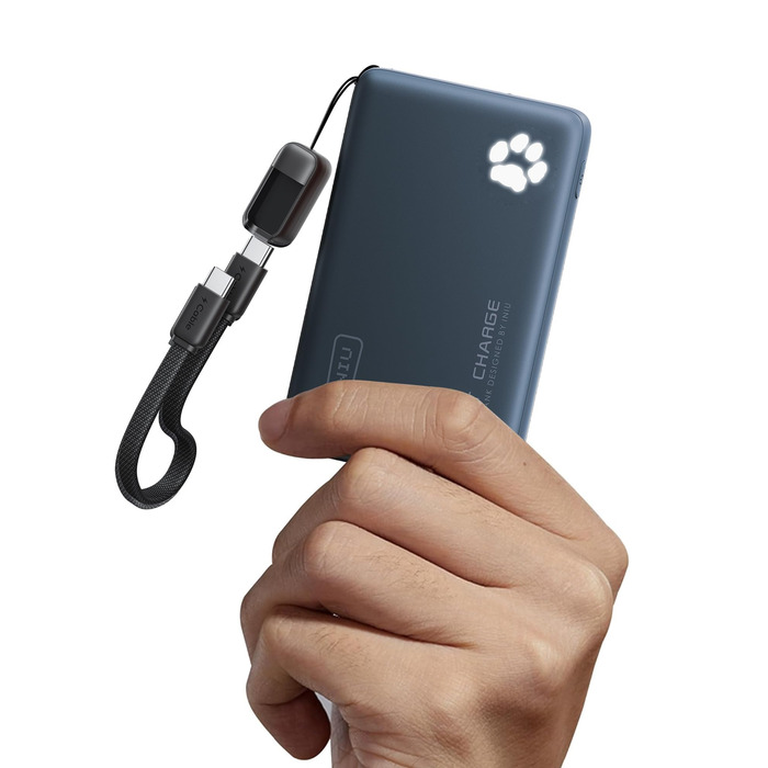 Power Bank INIU 10000mAh 45W USB-C PD3.0 Блакитний - Зовнішній акумулятор для iPhone, Samsung, iPad з ліхтариком