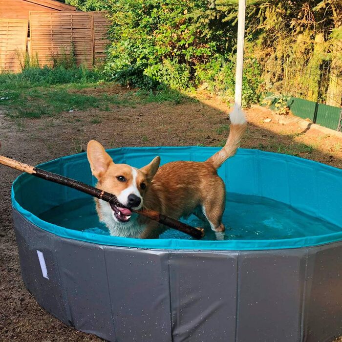 Navaris Dog Pool Splash Pool Foldable - Dog Pool made of Plastic - Agility Dog Toy - Dog Swimming Pool - Grey Petrol - Various Sizes