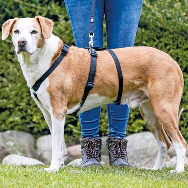 Миска для собак TRIXIE Stay, розмір M/L, 50-75 см, 20 мм (Чорна)