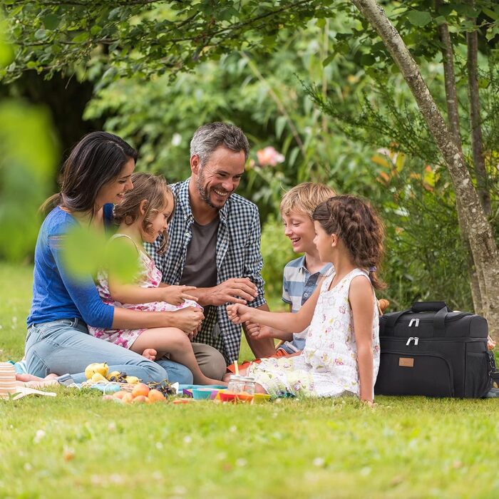 Термосумка LifeWit 23L для пікніка, пляжу, роботи та подорожей (чорна)