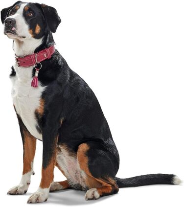 Нашийник для собак HUNTER CANNES, шкіряний, з м'якої напівшкіри, елегантний (XS, L-XL, бургунді)