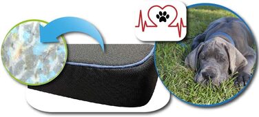 FORTISLINE Dog Mat Dog Bed OAHU Plus 2 Sizes 4 Colors (XL - 120x80x8cm, ) (L - 90x60x8cm, Blue)