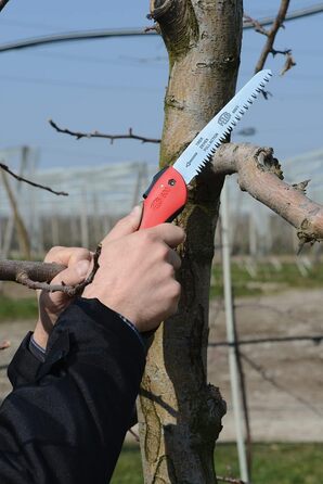 Пила для обрізки FELCO 611, довжина леза 33 см, садова пила з чохлом, конічне лезо, діаметр різу до 100 мм, довжина 50 см