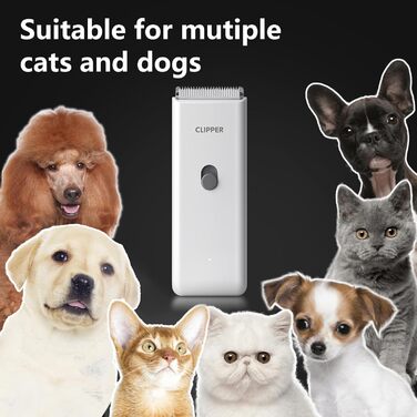 Професійний набір для грумінгу котів та собак Favrison: тиха машинка для стрижки, бездротовий триммер, зелений
