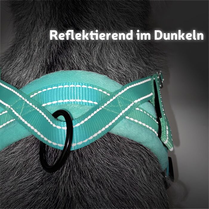 Шлейка для собак SlowTon з повідком, анти-тягнуча, регульована, світловідбиваюча, для цуценят, малих та середніх собак, безпечна, запобігає задушливості, зелена