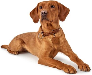 HUNTER Нашийник для дрессури SOLID EDUCATION, колір: коньяк, міцне шкіряне плетиво, з кільцем-обмежувачем, Made in Germany, розмір: M-L