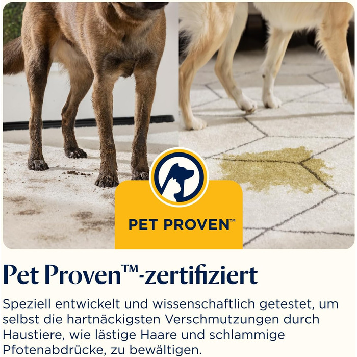 Портативний мийник для килимів Bissell SpotClean C5 - для дому, авто, човнів та диванів