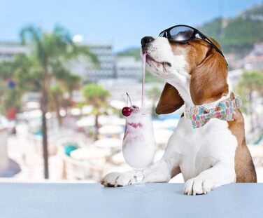 Унікальний стильний одяг для собак: тепла куртка з бантиком, міцна та регульована, для собак та котів (XL, Donuts)