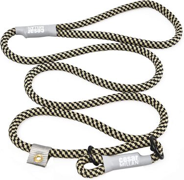 Leine - Training leash for dogs - 2in1 dog collar and leash - Slip lead - Retriever leash with integrated collar (Small/Medium - Color: ) - Length 120 cm, Diameter 1 cm (Normal, Multi-colored)