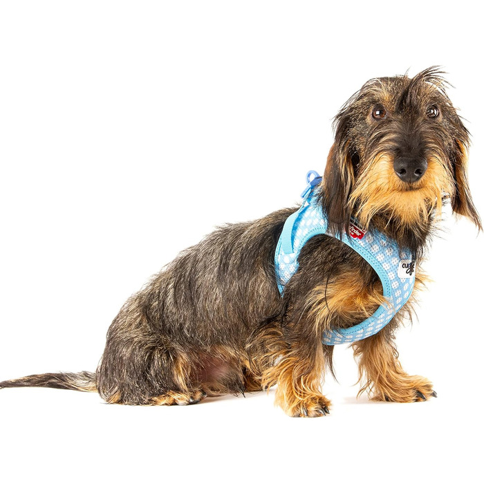 Шлейка для собак curli Clasp Air-Mesh M, блакитний колір з кругами, 3XS