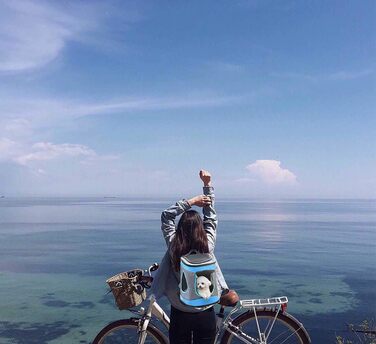 Складана переноска для собак та котів - транспортна сумка для подорожей на авто та літаку. Міцна переноска-рюкзак сіро-зеленого кольору (сіро-блакитного).