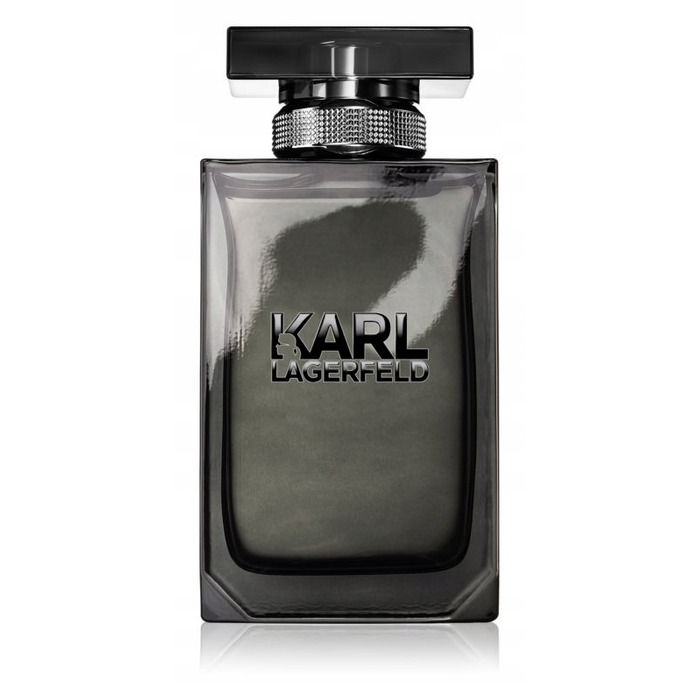 Чоловіча туалетна вода Karl Lagerfeld Pour Homme, 100 мл