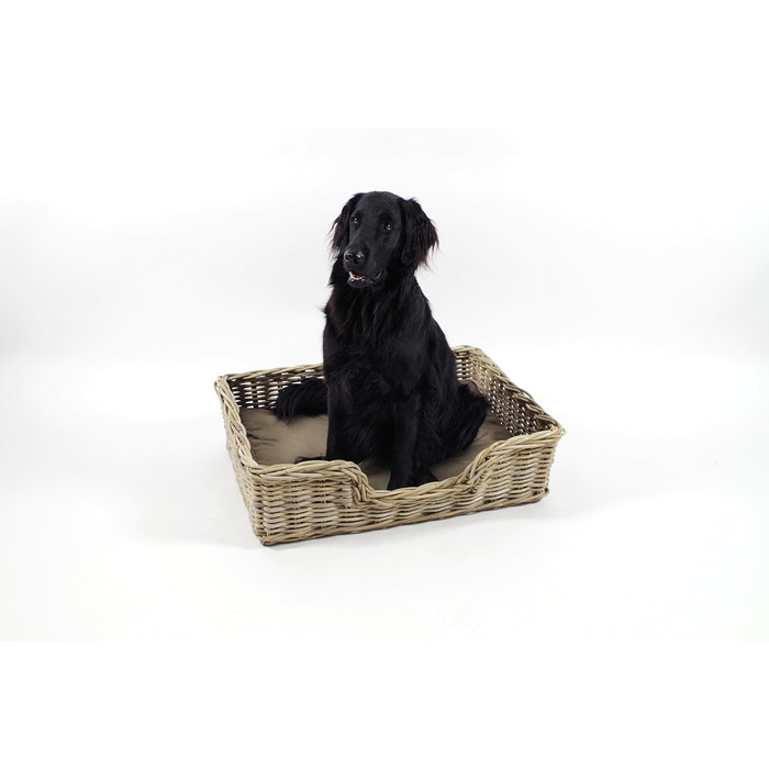 Корзина для собак Kobolo з ротанга з подушкою, 81x62x21 см