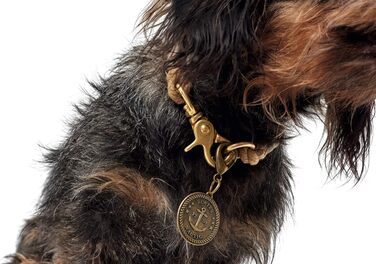 Нашийник для собак HUNTER List, бежевий, S-M, міцний, водостійкий, гнучкий