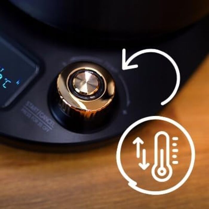 Huslog Electric Gooseneck Kettle with Temperature Control - 1 Liter, Black