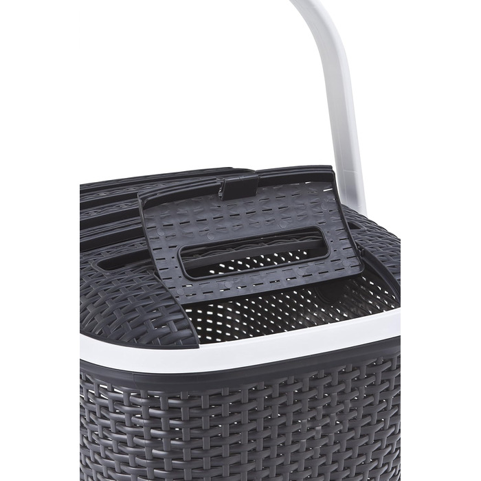 Транспортний бокс Curver Transportbox L (51x38x33 см) антрацит/темно-коричневий