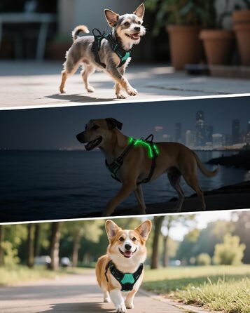 Світловідбиваючий нашийник для собак Joytale, зарядний, середнього розміру, без перетягування, з ручкою, світловідбиваючий, з м'якою підкладкою, регульований, для нічних прогулянок, чорно-синій, M (1 шт.)