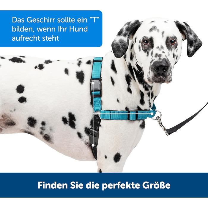 Нашийник для собак PetSafe Easy Walk Deluxe, без обмеження тяги, середній/великий, океаново-блакитний/чорний, з повідком 1.8 м