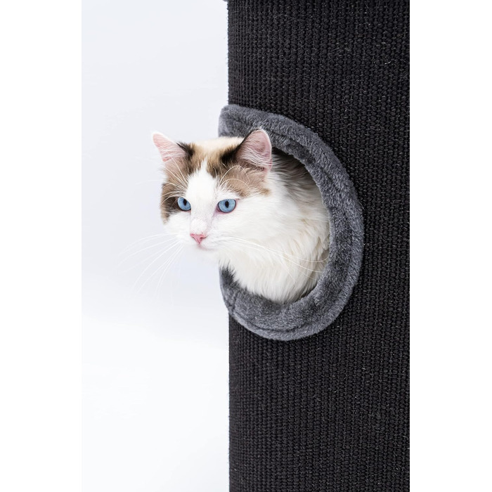 Кігтеточка Petrebels Dome, 80 см, чорна: стабільна та міцна