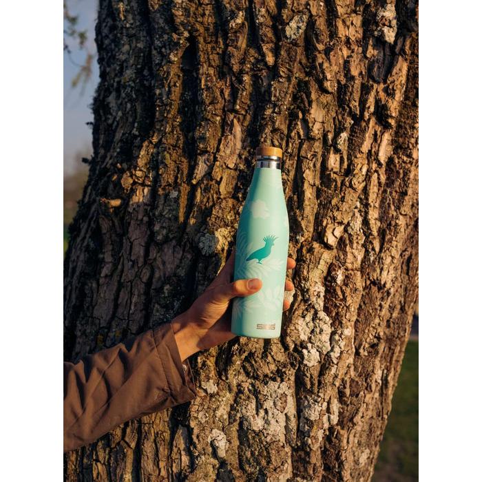 SIGG - Insulated Drinking Bottle - Meridian - Leak-proof - Extra slim - BPA-free - Plastic-free - Double-walled 18/8 Stainless Steel - Bamboo Screw Cap - 0.5L / 0.7L (Sumatra Birds, Sumatra 0.5 L)