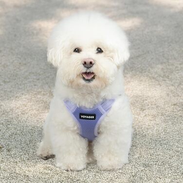 Шлейка для собак Voyager з регулюванням та світловідбиваючими смугами Best Pet Supplies - міцна жилетка для собак без натягу з кільцем для повідка, дихаюча, фуксія, розмір S (Обхват грудей: 15-18 дюймів) (Шлейка (Лаванда), XL (Обхват грудей: 23-28 дюймів)