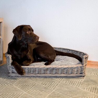 Кіжувалка для собак та котів UNU з лози та ротангу, сіра, 61 x 44,5 x 15,5 см