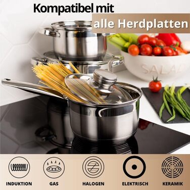Danik Standard Stainless Steel Cooking Pot with Glass Lid, 20 cm, 4 Liters, Soup Pot/Noodle Pot/Pasta Pot, Silver
