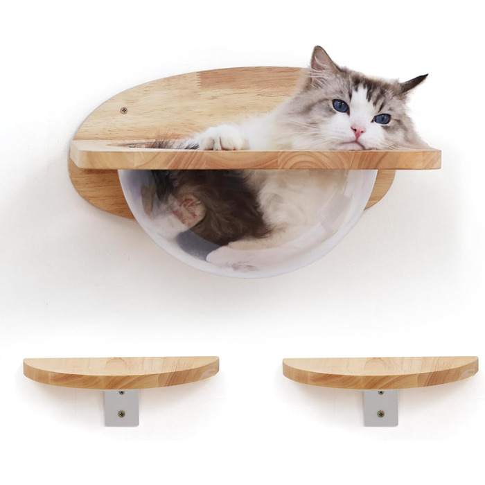 Climbing Wall for Cats, Transparent Room Capsule with 2 Pedals as a Cat Wall Furniture Set, made of Solid Rubberwood, High-Quality Cat Bed for Sleeping, Playing, and Climbing - Supports up to 16KG