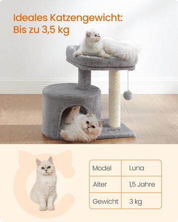 Драбина для котів Feandrea, кігтеточка з сизалю, платформа з м'якою оббивкою, для кошенят, сіра PCT50W