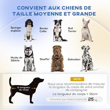 Диван для собак та котів PawHut, блакитний, 102x58,5x42,5 см, з м'яким знімним кріслом, дизайн у скандинавському стилі