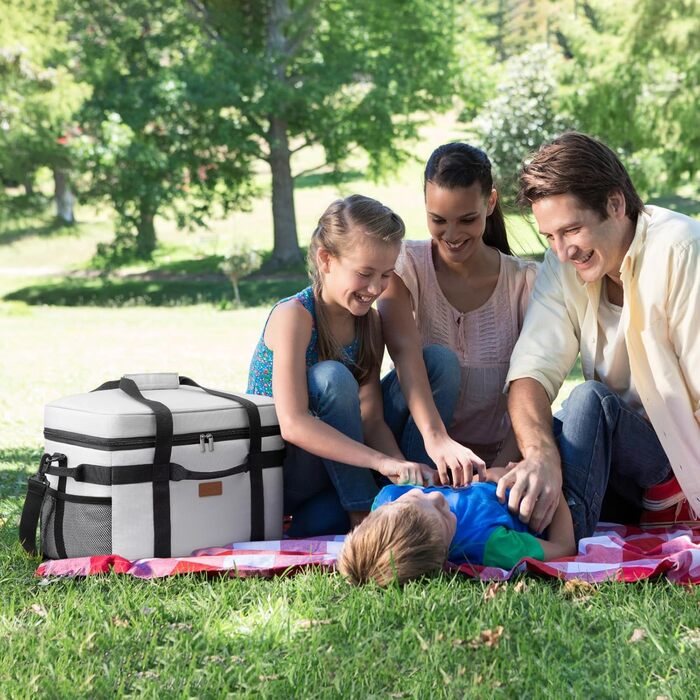 Lifewit Cooler Bag 30L, Foldable Picnic Bag for Food & Drinks, Portable Ice Bag for Men, Women, Insulated Thermal Bag for Work, Picnics, Camping, Silk Grey