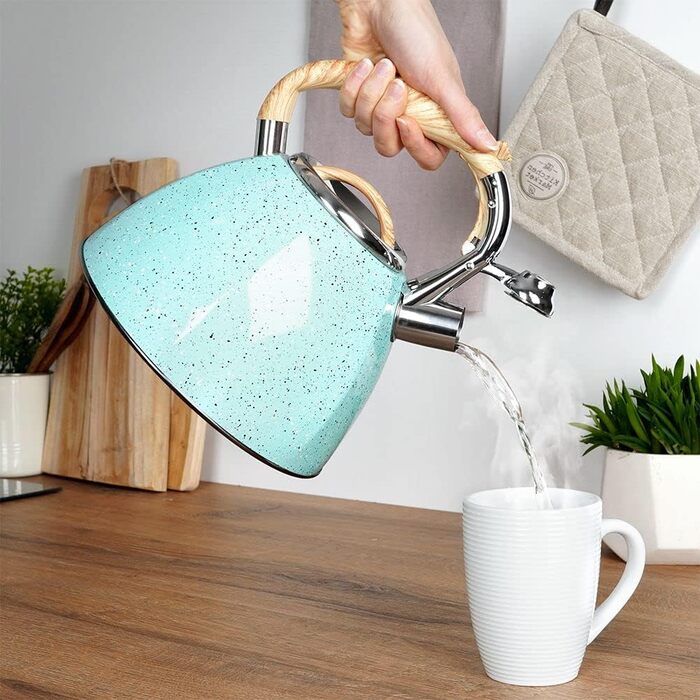 ORION GROUP Kettle | 3 L | Automatic Modern Whistling Kettle Water Boiler | For Gas and Induction (Blue)