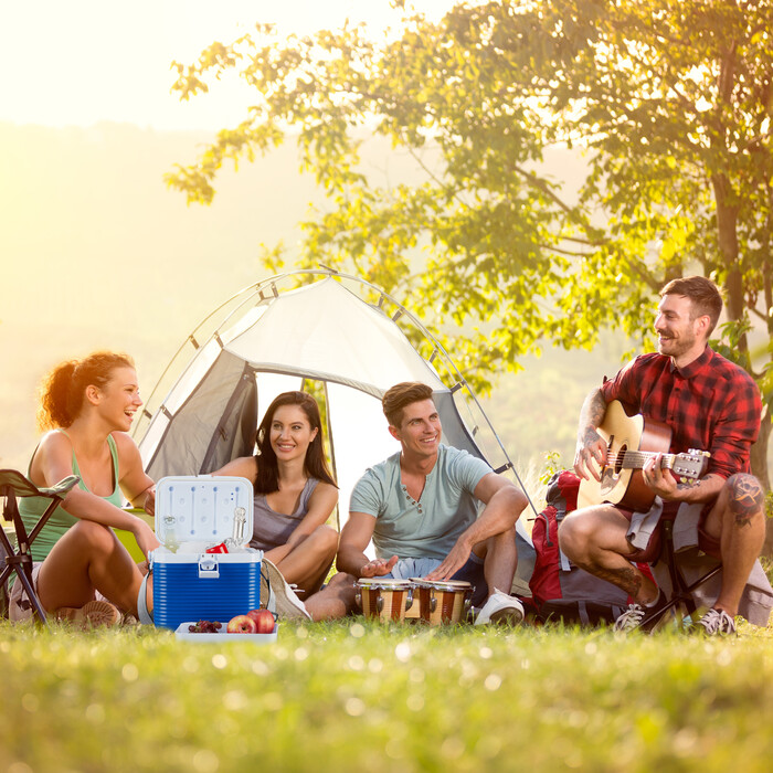 Relaxdays прохолодна коробка маленька 8 літрів