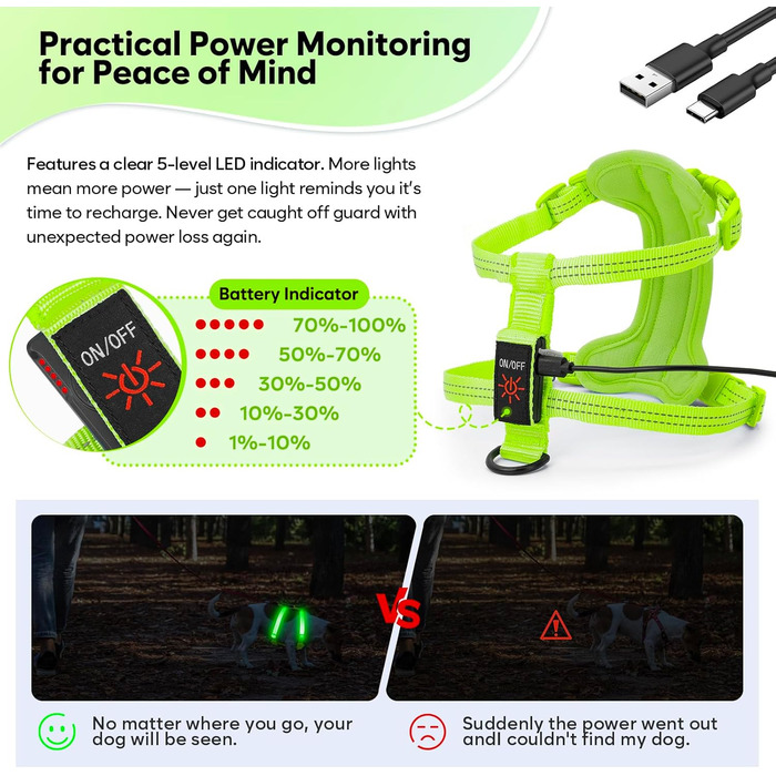 Світловідбиваючий LED нашийник для собак, USB-C, для маленьких собак, XS-S, для прогулянок вночі
