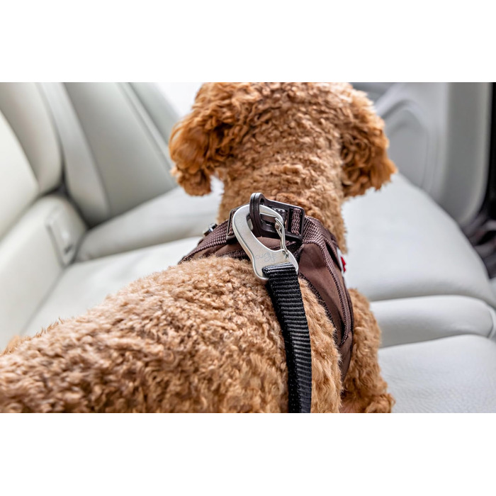 Large Car Safety Belt V2 L - Enhanced Vehicle Safety Restraint