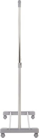 Premier Housewares Clothes Rail with Wheels, Chrome, Plastic, Grey, 43x80x152