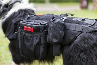 Диспенсер для собачих пакетів OneTigris для прогулянок, з MOLLE-системою та карабіном, тактичний, чорний, маленький