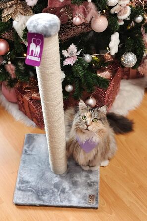 Petrebels Premium Quality Cat Tree Maine 90 cm High, with Extra Stable Base Plate and Natural Sisal Post, 40 x 40 x 90 cm, Color /Beige (Gray)