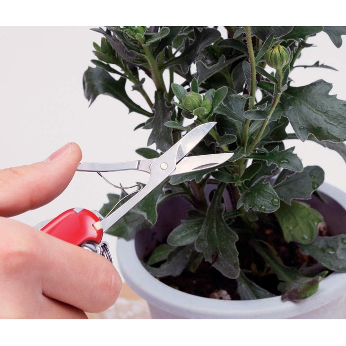 Мультитул Victorinox Wenger: швейцарський ніж з 7 функціями, клінок, пилка для нігтів, ножиці