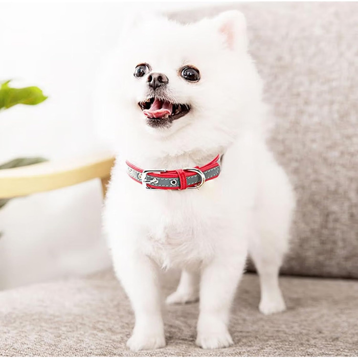 Yonsbox Персоналізоване світловідбиваче відбиваче для собак та котів - Легкий, міцний, з гравіюванням, тихим ID-брелоком та світловідбиваючою ниткою - 6 розмірів (XS–XXL) Чорний M: 29-38 см (підходить для 6-10 кг)