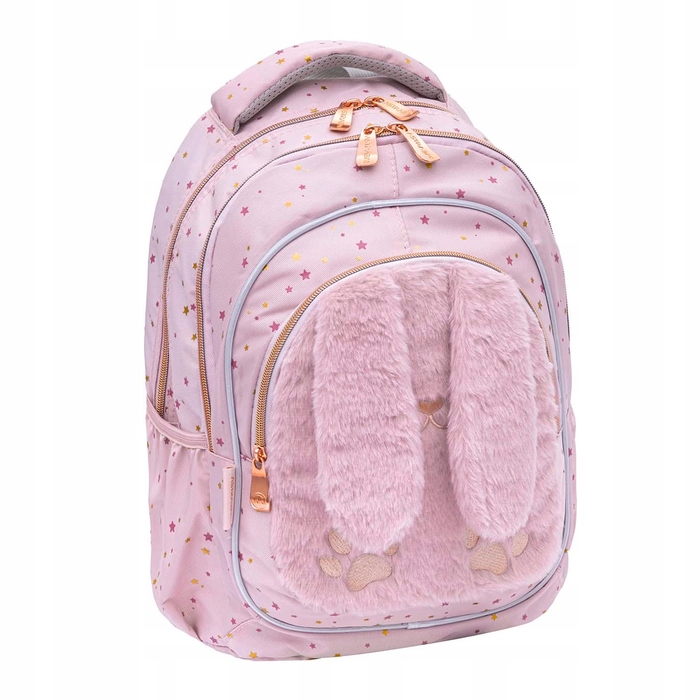 Багатокамерний шкільний рюкзак AstraBag, рожевий, 20 л