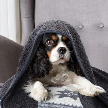 М'яка флісова підстилка для собак і котів Nobleza, 160 x 120 см, сіра