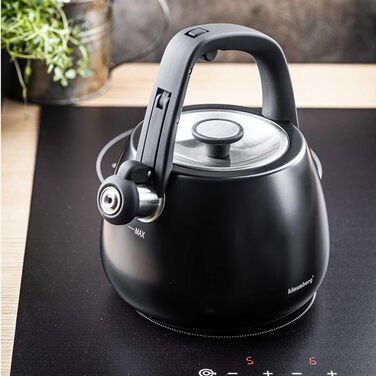 Чайник сталевий 2.5L Induktion (Чорний)