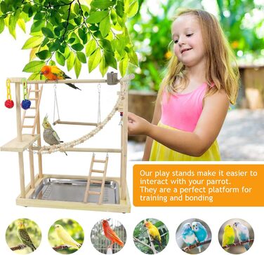 Bird Playground, parakeet toys, bird play stand, bird gym, bird accessories, climbing frame ladder, running cage with feeder cups, tray, swing for budgies, canaries, parakeets, and other birds (#6)